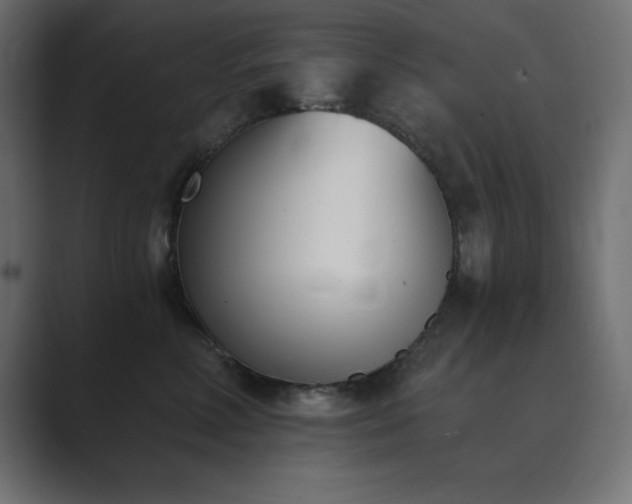 X0000089850618200706281252