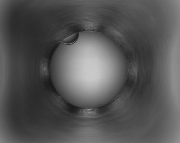 X0000089850622200706281252