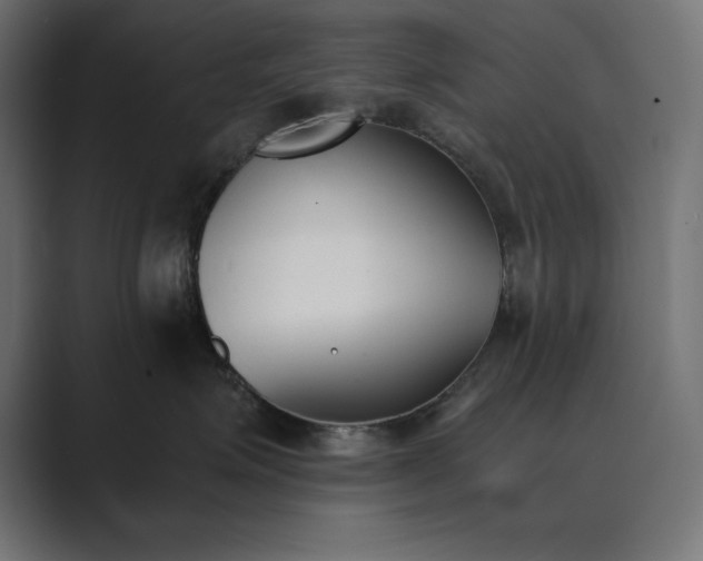 X0000089850623200706281252