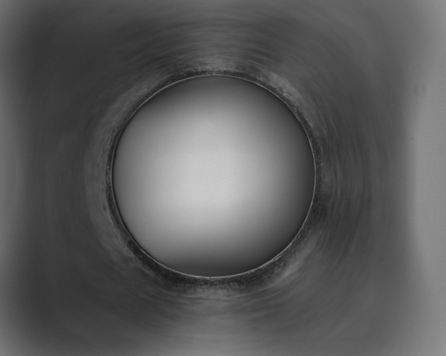 X0000089850625200706281252