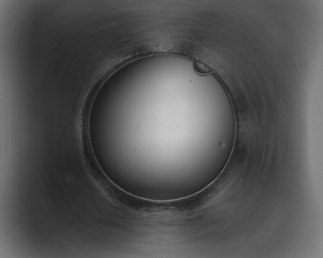 X0000089850626200706281252