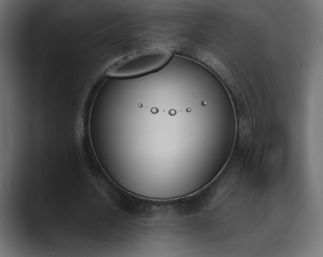 X0000089850628200706281252