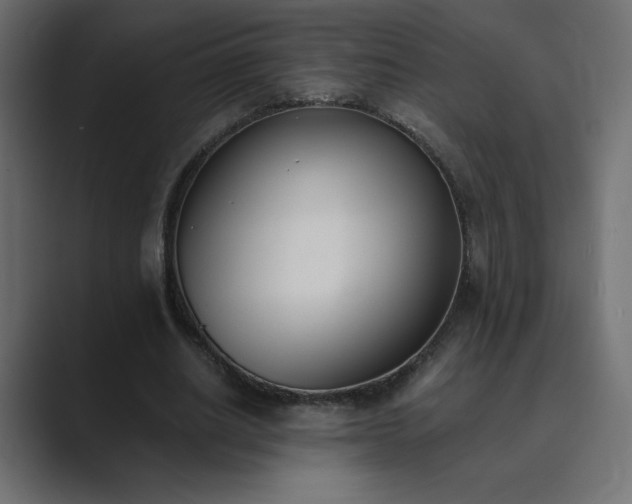 X0000089850630200706281252