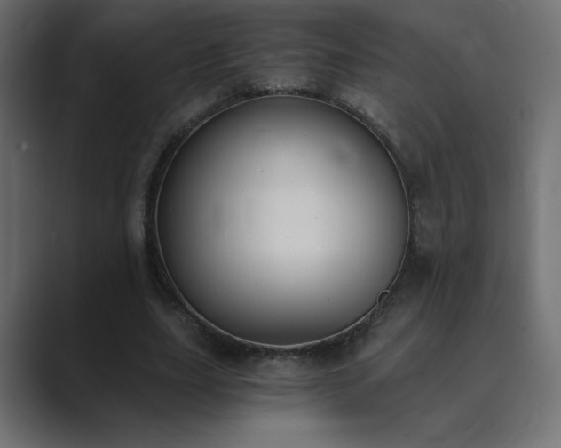 X0000089850631200706281252