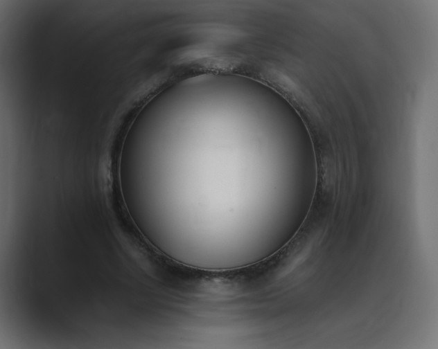 X0000089850634200706281252