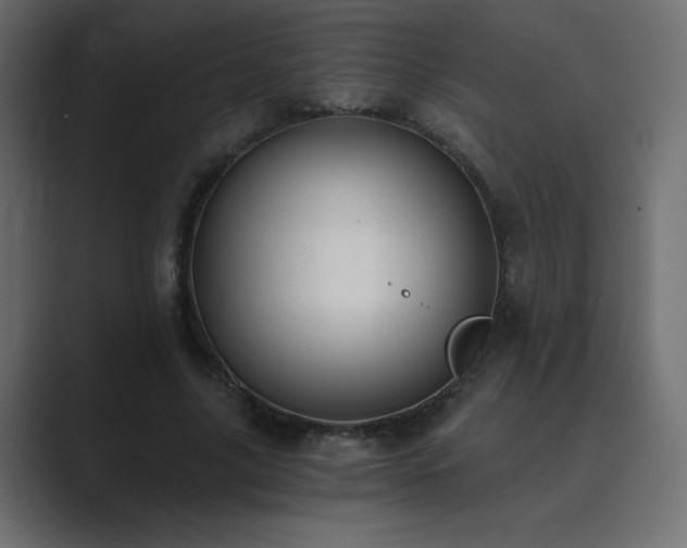 X0000089850635200706281252