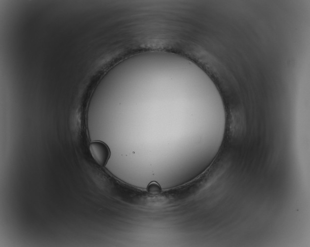 X0000089850636200706281252