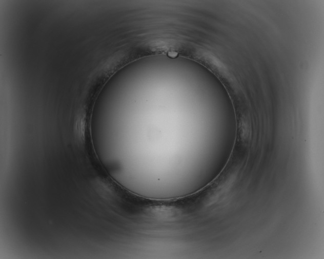 X0000089850637200706281252