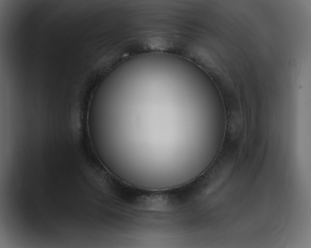 X0000089850639200706281252
