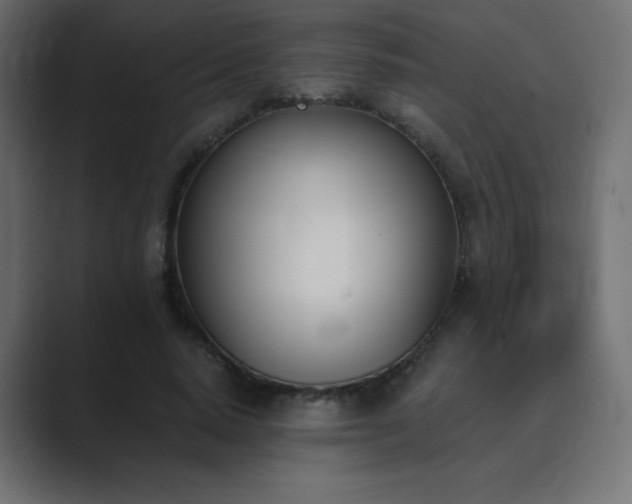 X0000089850640200706281252