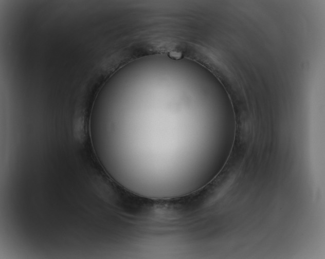 X0000089850641200706281252