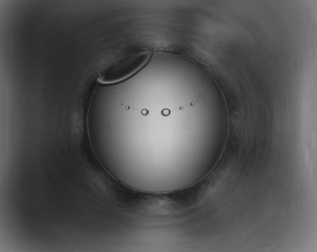 X0000089850642200706281252