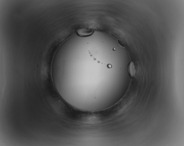 X0000089850643200706281252