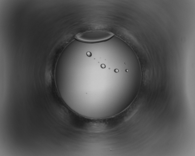 X0000089850644200706281252