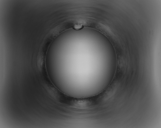 X0000089850645200706281252