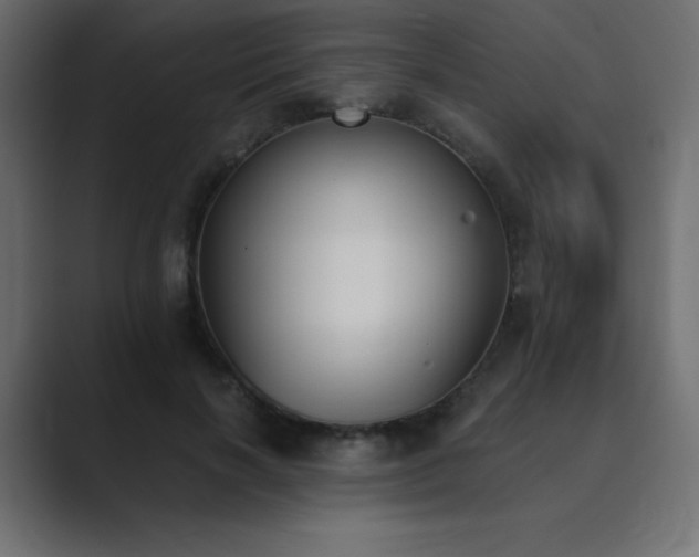 X0000089850646200706281252