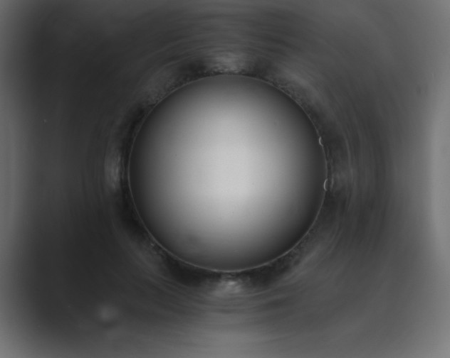 X0000089850647200706281252