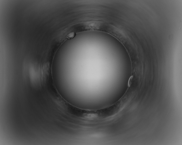 X0000089850649200706281252
