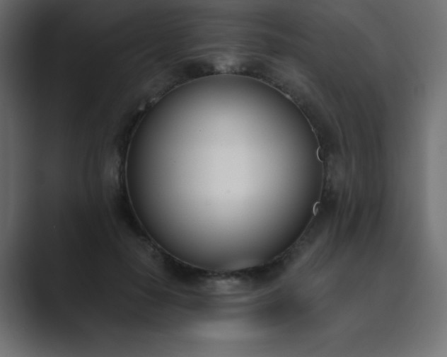 X0000089850650200706281252