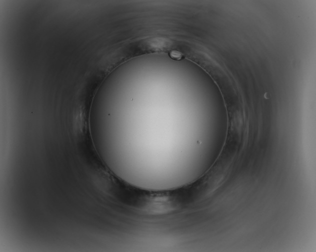 X0000089850651200706281252