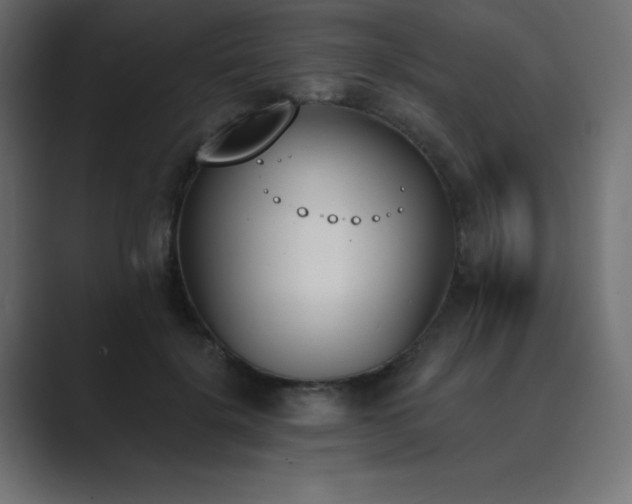 X0000089850652200706281252