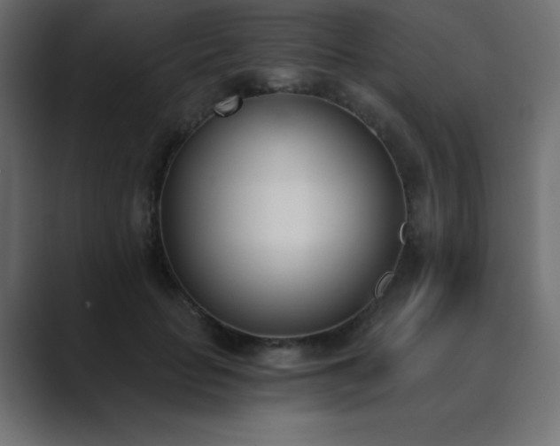 X0000089850653200706281252