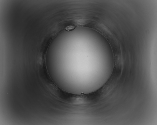 X0000089850655200706281252