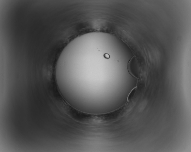 X0000089850656200706281252