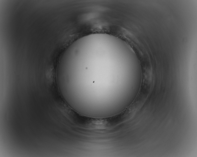 X0000089850659200706281252
