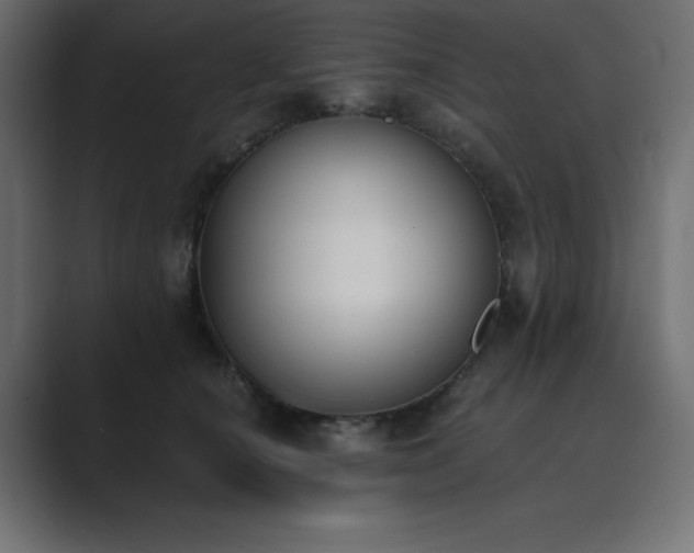 X0000089850660200706281252
