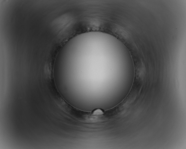 X0000089850661200706281252