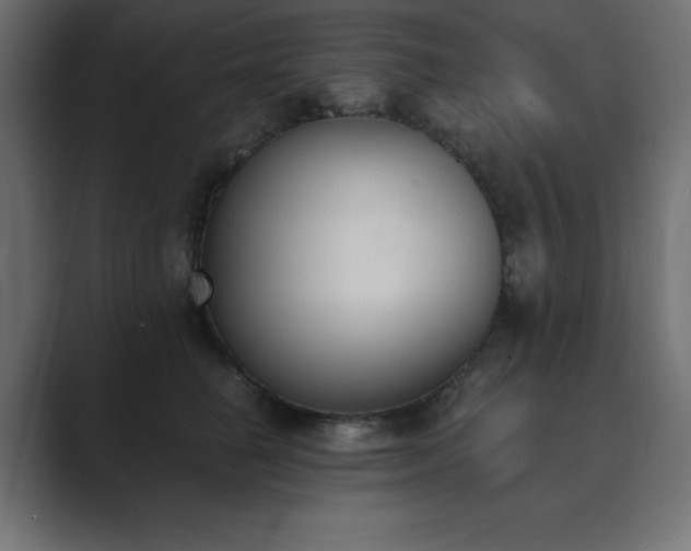 X0000089850662200706281252