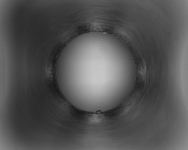 X0000089850663200706281252