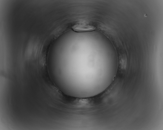 X0000089850665200706281252