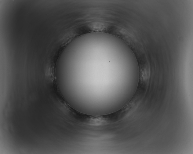X0000089850666200706281252