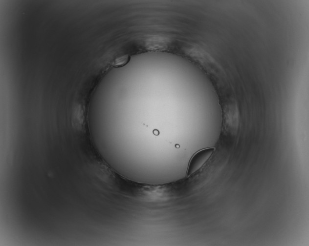 X0000089850667200706281252