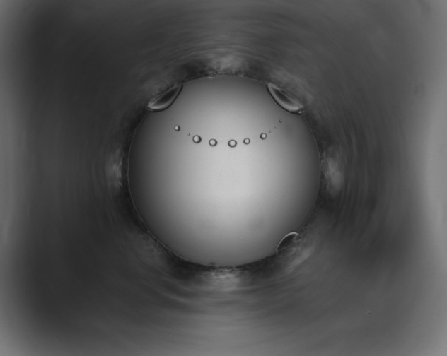 X0000089850668200706281252