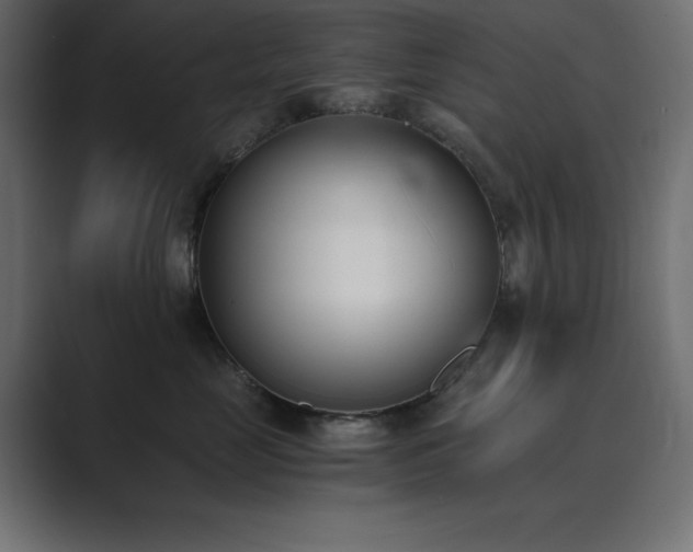 X0000089850669200706281252