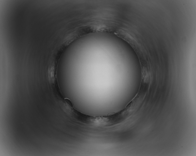 X0000089850670200706281252
