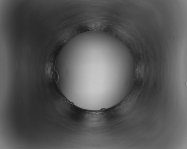 X0000089850671200706281252