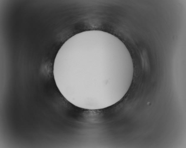 X0000089850672200706281252