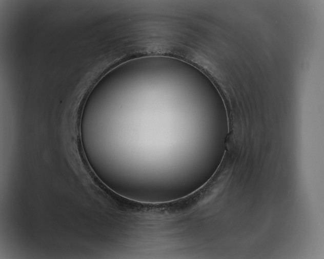 X0000089850673200706281252
