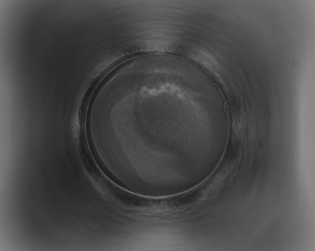 X0000089850674200706281252