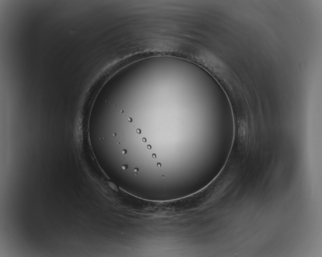 X0000089850676200706281252