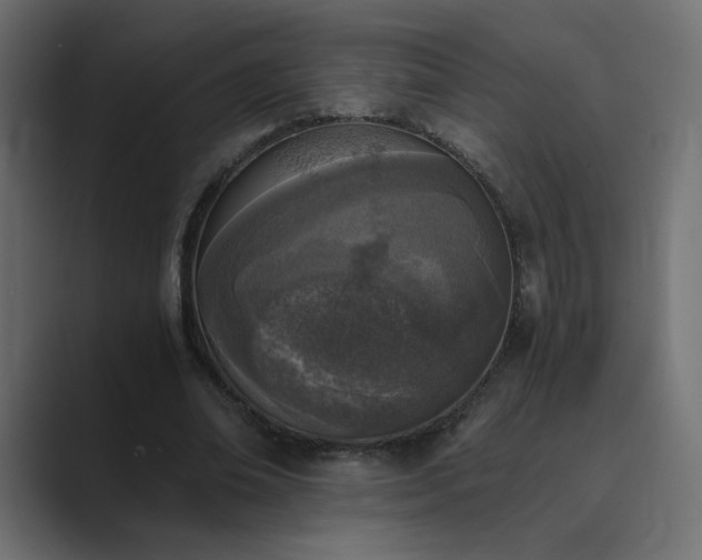 X0000089850678200706281252
