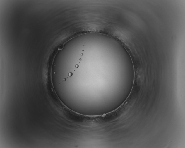 X0000089850679200706281252