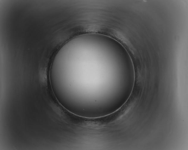 X0000089850681200706281252