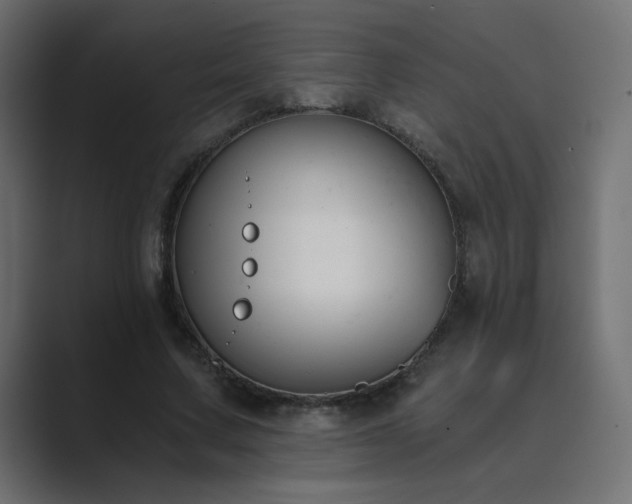 X0000089850683200706281252
