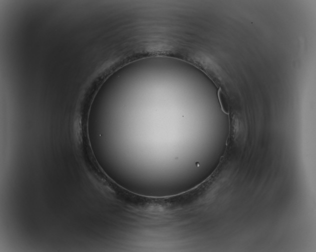 X0000089850684200706281252
