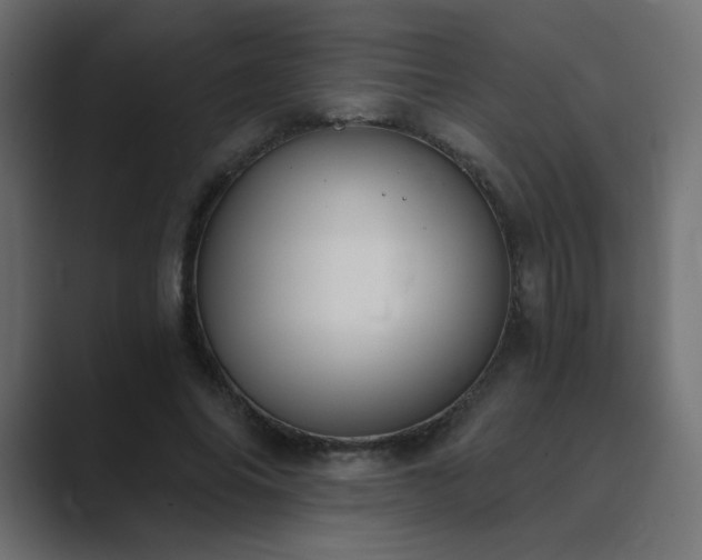 X0000089850686200706281252